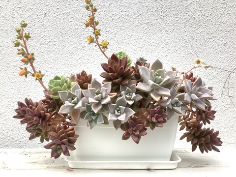 B80F09ED-7F5F-4183-A160-A68EE2EE52E9