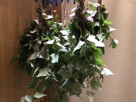 9AB77A8A-2A97-4753-94C2-006374E2487E