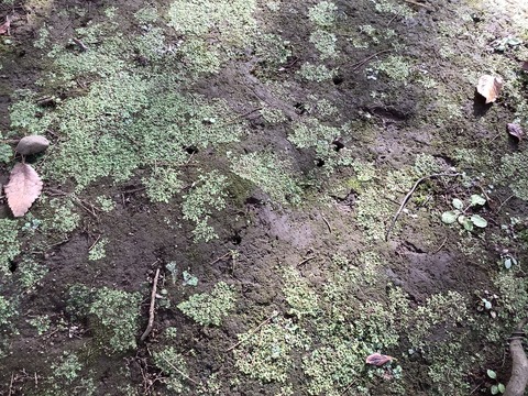 15A8916B-5AB3-4FA5-AF7D-5AD737592A73