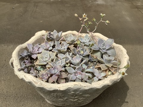 FDE9D445-3A21-4831-8EDD-CAC729DFA1AB