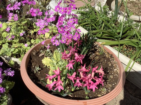 FC0D6F5D-49D9-4363-B04F-4B9246AB0593