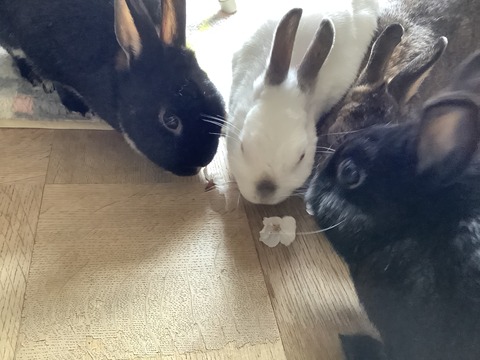 AB160B84-F41A-4A57-ACF9-62CFB41F838E