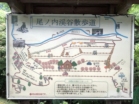 C33C94BD-7656-4B12-BCB9-ED0D35561A20