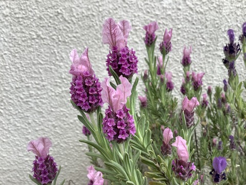 10926C0B-4A0C-4C48-9427-030BC2F59A13