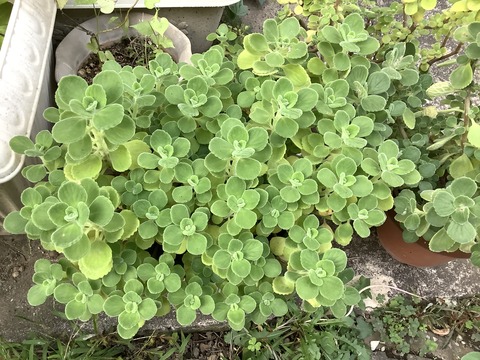 6973C4A3-99AB-4FD2-8C19-63479D8B856C