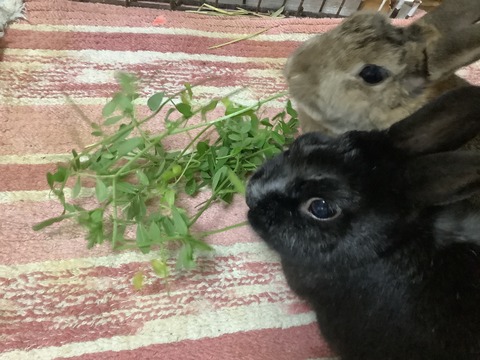 4BC8F6A9-AF37-4028-A934-61E673E5EE61