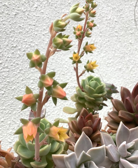 089EC4B7-E6FB-4B42-A1FC-D331EC5490B9