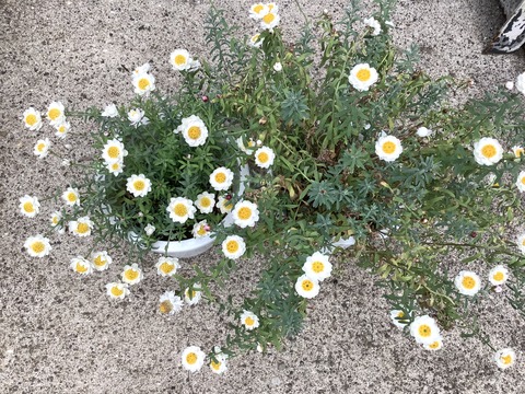 F6BA20B6-1980-42F5-A10D-BB11B37259A6