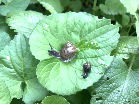 84A83E5E-525B-4A2E-96B9-E72699772B02