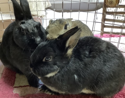 D857435B-0A2D-4BDF-AAA9-CAF8201FD62E