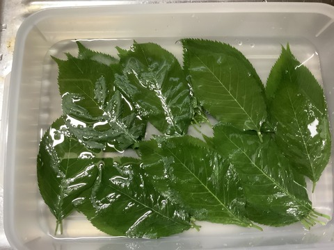 C7410863-909B-41F9-B53C-41DDC8E1730A