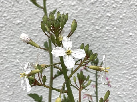 A428F774-0149-4986-B75F-C2DB0023C871