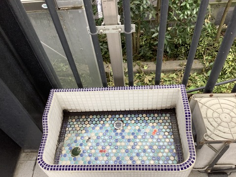 93D172A7-E4C2-4886-ADFA-4E38BFC317A6