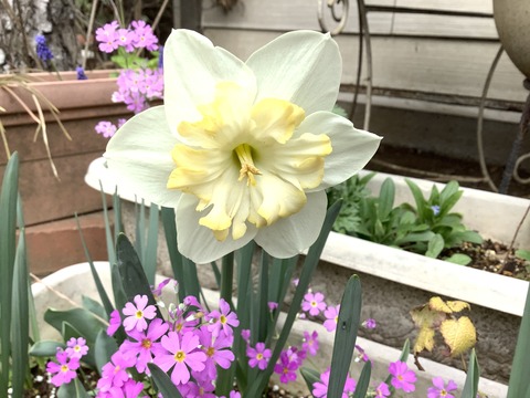 D61CC722-3202-4C1B-9ACF-0FC495D6267B