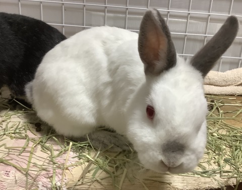 2F896028-DE6B-46A7-9FF0-2FE8AAD4F5FC