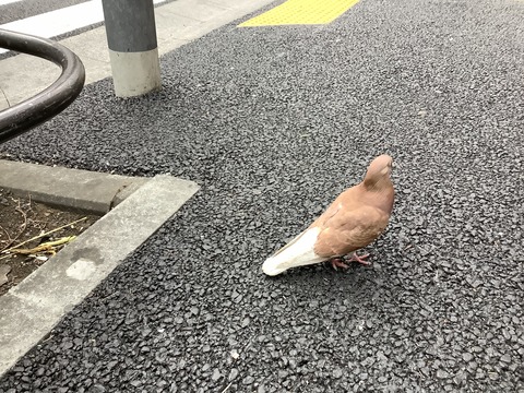 DDC8A290-738F-4C2C-886F-5A8002F858F2