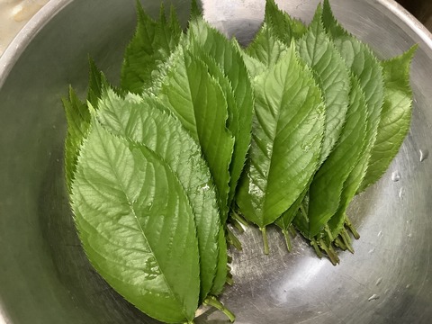 3AF53D6D-CD55-4F4A-B30D-BDD9BFB14E3C