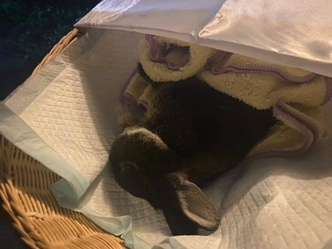 3C1E4090-1BFA-4079-AF67-1BD69AFD14A2