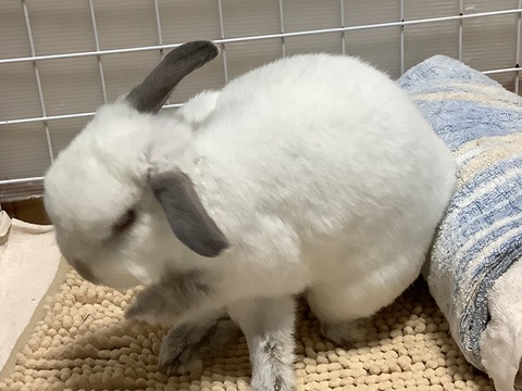 5237CE63-C621-4110-83F3-079A88ACB22E