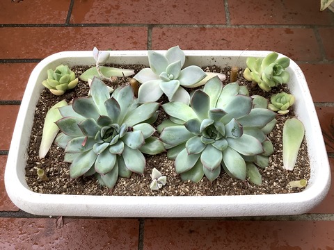 B41A51EE-162D-4CF4-8D2D-40BDB90AD1B8