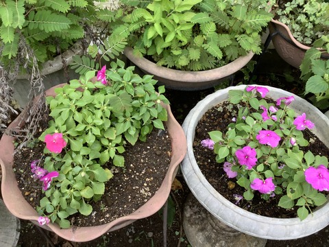 8AC5553D-6446-4B14-8CD5-E305BE61C3BC