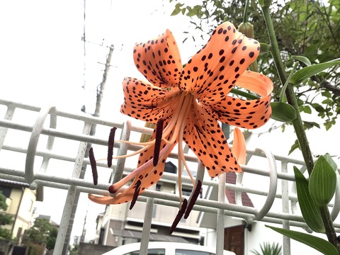 DC0F96DB-DB82-475E-AB1D-6CC04866C4D3