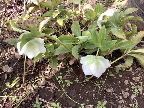 84FB0421-B367-430E-BFE0-1B4C645C76A2