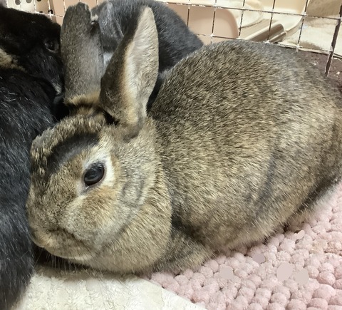 48D60390-3C76-4E4C-BFC1-E4E947C3C962