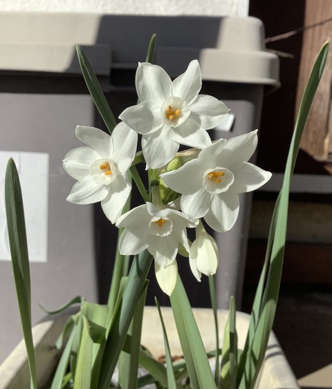 674624F2-701E-43F5-8D0B-F0C12E32C688