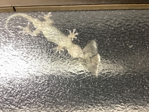 653263EC-0F7E-4427-A0DF-70025506EDEE