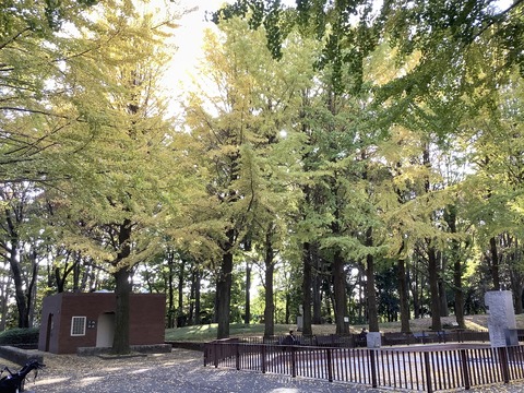 C7EB567B-FAE0-479A-B9D7-1955D55A1EEA