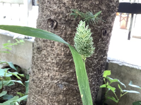 D53ACD3E-01DC-445B-B333-F840D4145837