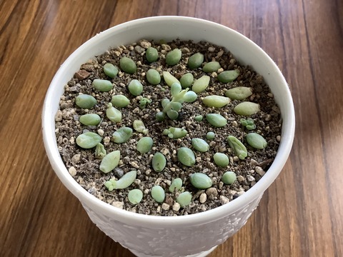 BE4B6775-C019-48B1-ABF4-5CA4D0762A47