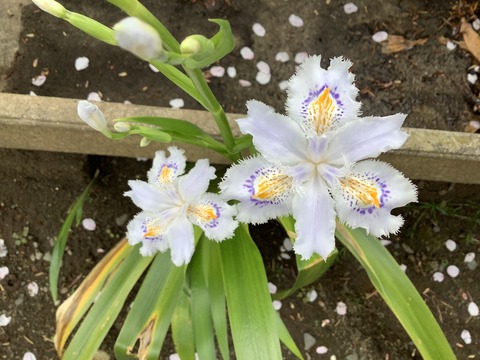 07A71AA0-5F92-4B6E-B54F-4A85330E54B6