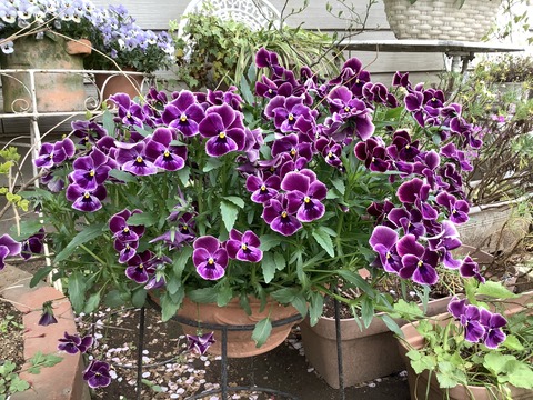 0AAF6675-A71F-4A6A-AFEF-61A325DB9470