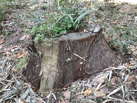 E313A389-EADE-4921-9A1B-492648A69173