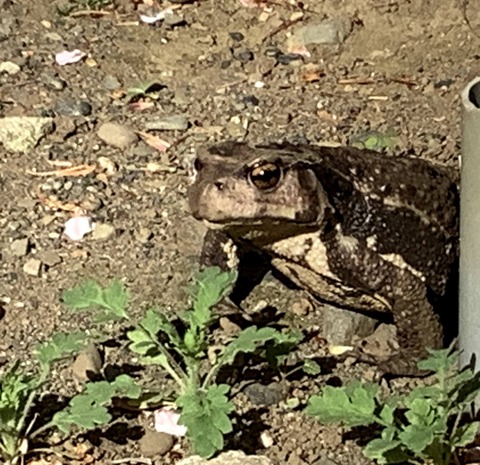 EC1AF007-E978-4D4A-979D-621F7EBC0560