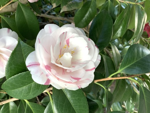 F170244C-648B-4428-9CCF-E34FF09C6517