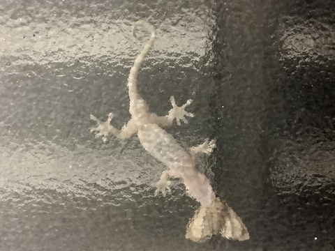 BF7D91B2-9BF1-434B-A5AF-1E11357FA120