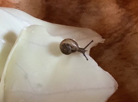 5DC9AD54-3EFF-4570-B1C6-5F6C5D4F531E