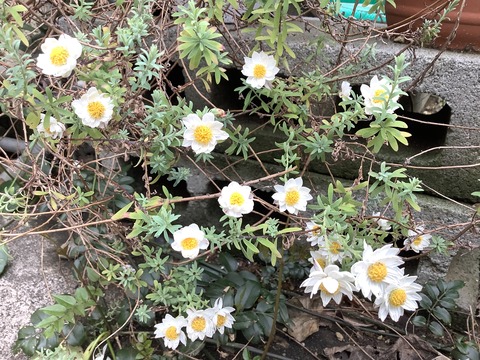 01075DD1-DBE1-47A6-B3C6-FB88DA4FDED2