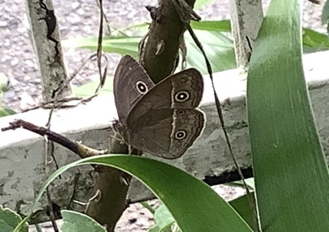 92A34A46-83C9-49D8-AFA5-4A2B67748D2A