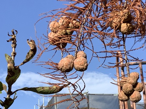 35E3CAFF-D4AC-4CC5-9D96-85668022D3DC