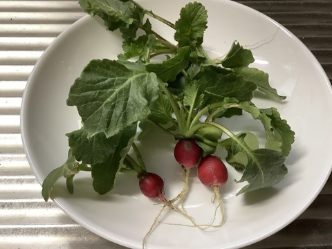 EB31D3F0-44EC-4DBF-9E5A-ECFFAC1C72CE