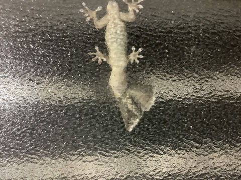 79930C15-1A4D-4BEE-807A-1EDE85C997B5