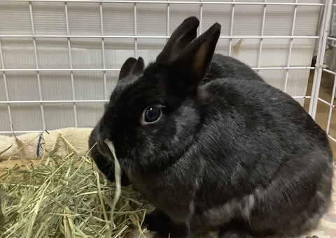 8CE7E935-57A8-4B53-A7F9-873C08BC0C7E