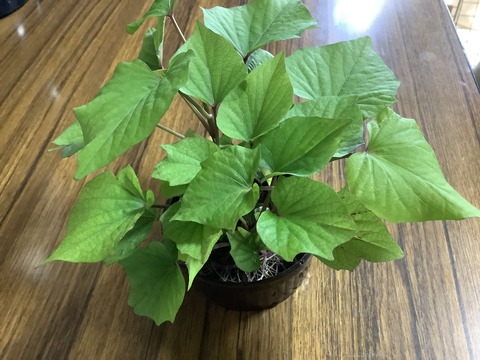 B8CE43D3-65D9-45F3-A751-8C879A9FBD1C