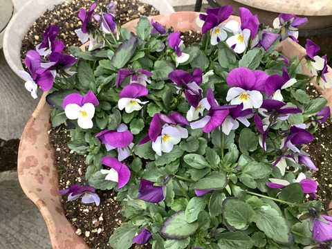 62B60943-71AD-4B57-949C-71D0D9B95552