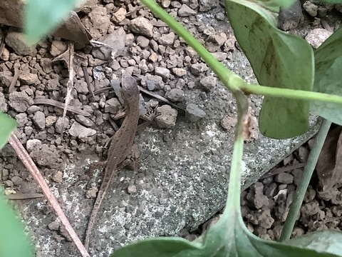 5A75EF28-6BA3-4827-882F-7115CC7E2CC9