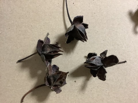 EDB7142D-E48C-4E55-9556-75B0C3C6BC03